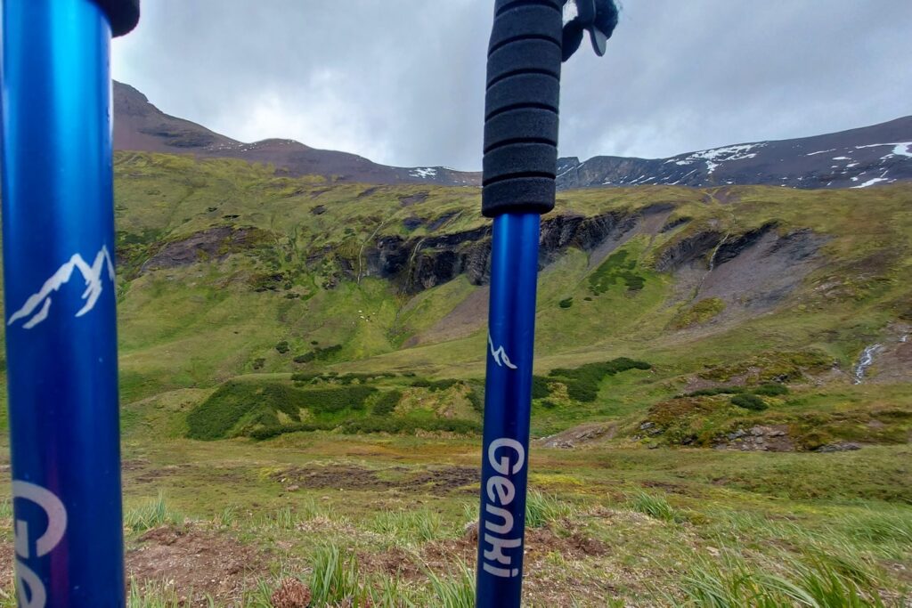 a couple of poles that are in the grass